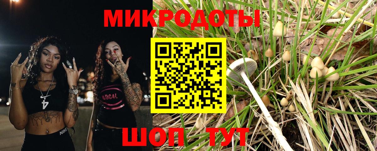 Кандалакша  Псилоцибиновые грибы GOLDEN TEACHER  Вход с VPN 